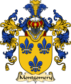 Irish Family Coat of Arms (v.25a) Montgomery