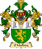 Irish Family Coat of Arms (v.25a) O'Mulledy or O'Neady