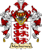 Irish Family Coat of Arms (v.25a) MacInerney