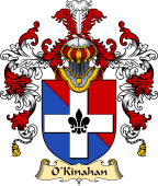 Irish Family Coat of Arms (v.25a) O'Kinahan