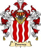 Irish Family Coat of Arms (v.25a) Downes