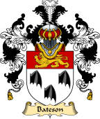 Irish Family Coat of Arms (v.25a) Bateson
