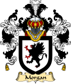 Irish Family Coat of Arms (v.25a) Morgan