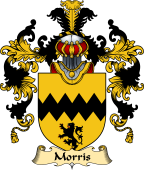 Irish Family Coat of Arms (v.25a) Morris