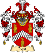 Irish Family Coat of Arms (v.25a) Pyne