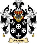 Irish Family Coat of Arms (v.25a) Wadding