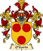 Irish Family Coat of Arms (v.25a) O'Garvin or Gavan