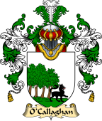 Irish Family Coat of Arms (v.25a) O'Callaghan