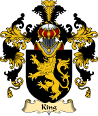 Irish Family Coat of Arms (v.25a) King