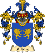 Irish Family Coat of Arms (v.25a) O'Trehy or Troy