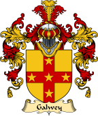 Irish Family Coat of Arms (v.25a) Galwey