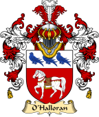 Irish Family Coat of Arms (v.25a) O'Halloran